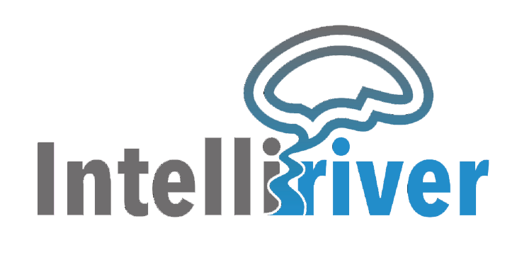 Intelliriver Systems